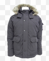 Free Jacket Transparent Background Download Free Clip Art - Transparent Winter Jacket Png Emoji,Jacket Emoji