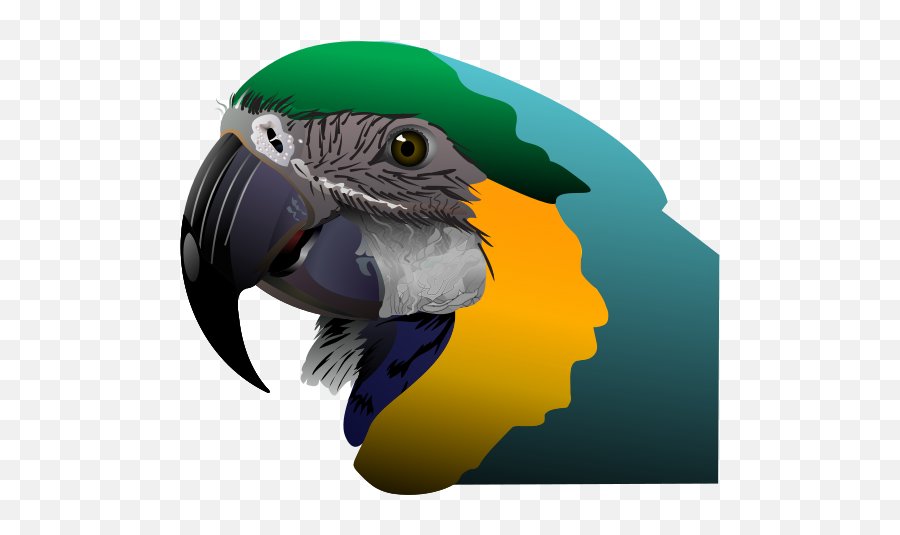 Jungle Clipart Bird Jungle Bird - Arara Canindé Clipart Emoji,Sunset Bird Emoji