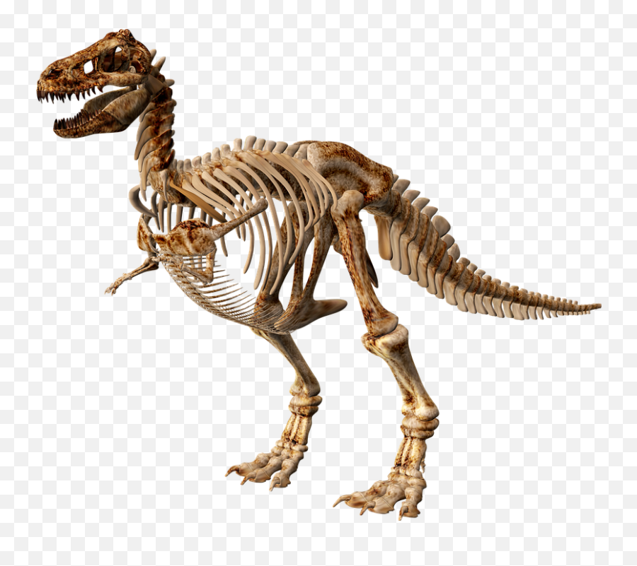 T Rex Dinosaur Skeleton - Dinosaurus Skelet Png Emoji,T Rex Emoji