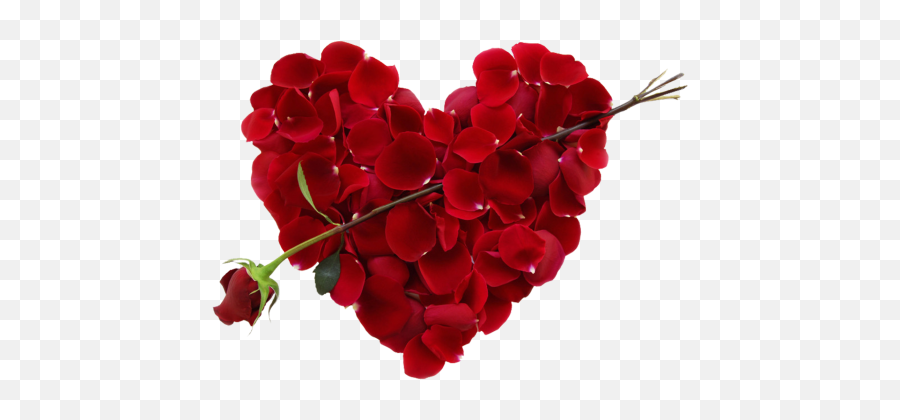 Transparent Rose Heart Png Picture Free Download Searchpngcom - Rose Day In Heart Shape Emoji,Rose Emoji Png