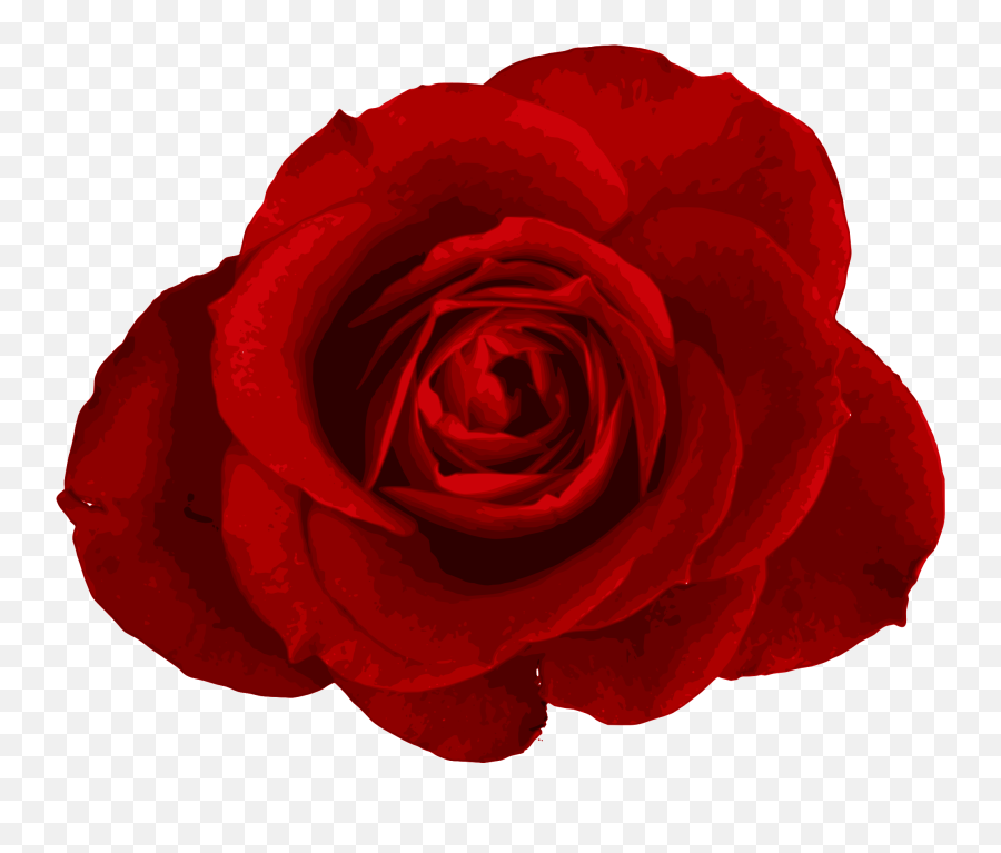 Rose Png Hd Images Free Rose Clipart Download - Free Small Rose Transparent Background Emoji,Red Rose Emoji