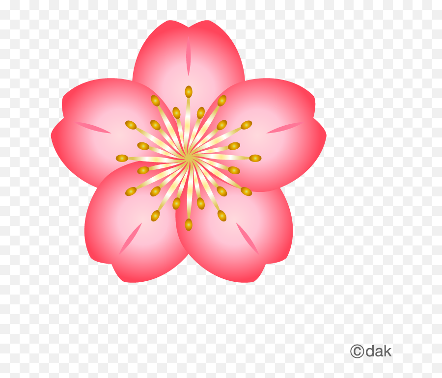Flower Graphic Transparent U0026 Png Clipart Free Download - Ywd Flower Cherry Blossom Clipart Emoji,Sakura Flower Emoji