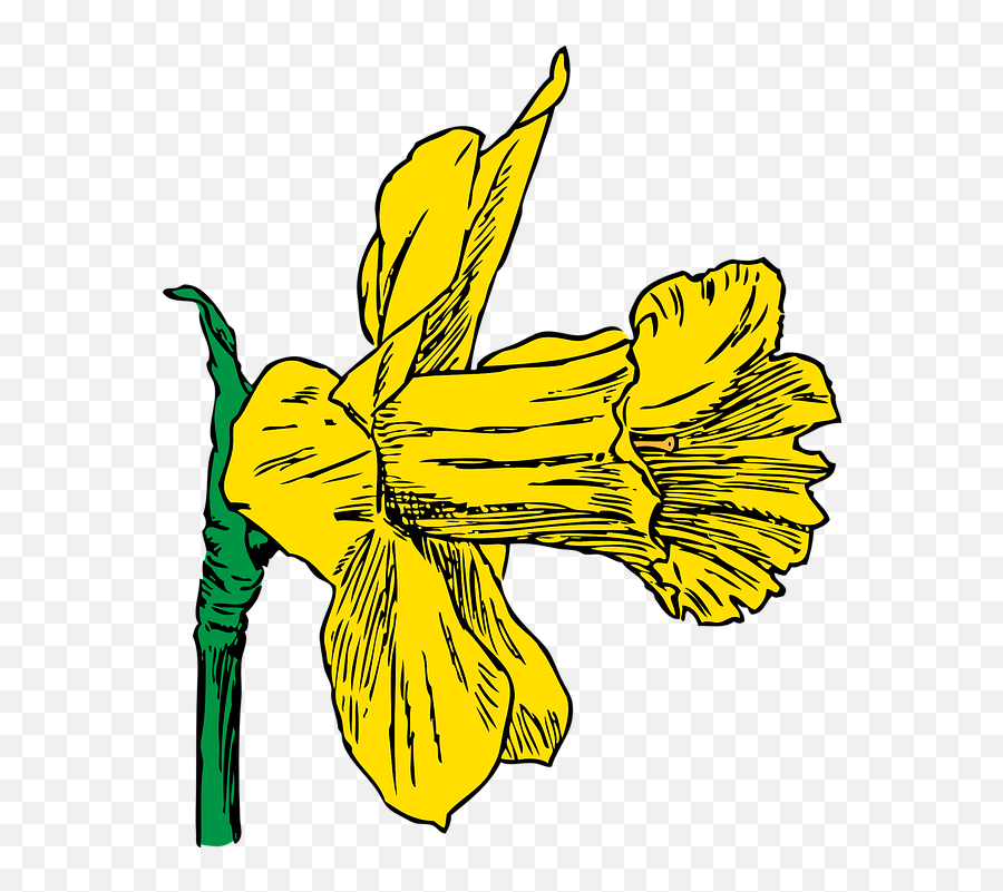Daffodil Season Spring - Daffodil Clip Art Emoji,Emoji Names