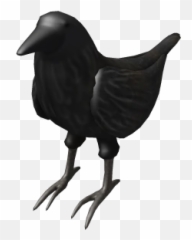 Fresh Right Shoulder Crow Roblox Wikia Fandom - Emoji