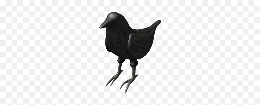 Fresh Right Shoulder Crow Roblox Wikia Fandom - Shoulder Roblox Emoji,Crow Emoticon