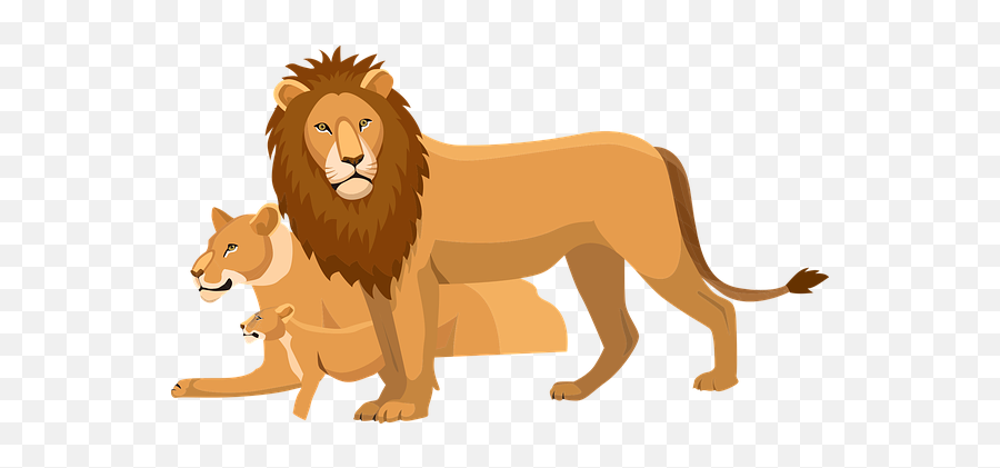 30 Free Roaring U0026 Lion Vectors - Pixabay Lion Illustration Emoji,Lion Emoji