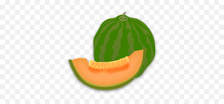 Free Todo Earth Vectors - Melon Clipart Png Emoji,Cantaloupe Emoji