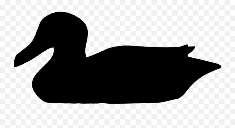 Free Black Ducks Duck Images - Silueta De Pato De Color Negro Emoji,Crow Emoji