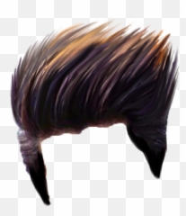 Turkey Png And Vectors For Free - Boy Hair Style Png Emoji,Cooked Turkey Emoji