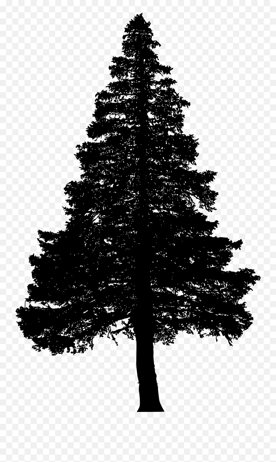 Pine Tree Silhouette Png Free Pine Tree Silhouette - Pine Tree Silhouette Png Emoji,Pine Tree Emoji