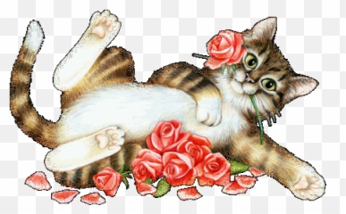 Forum - Pixel Cat Gif Transparent Emoji,Blacky Emoticons
