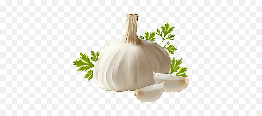 Garlic Ftestickers - Garlic Clipart Emoji,Garlic Emoji