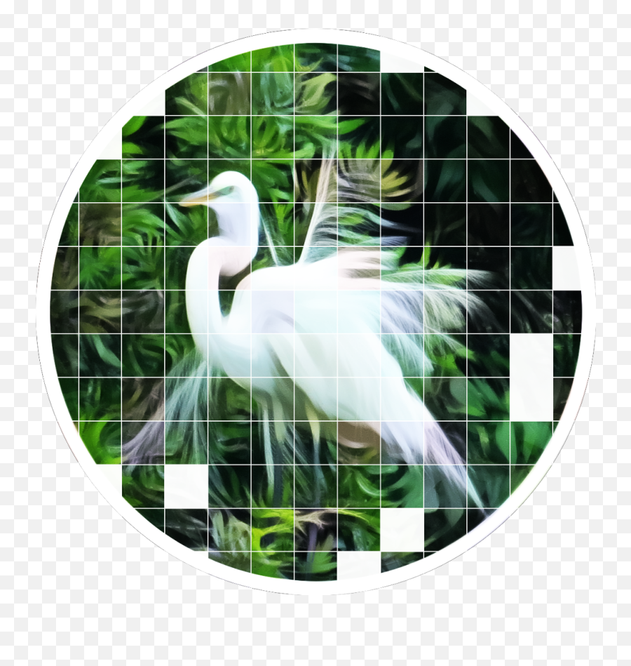 Bird Birb White Nature Circle Filter - Great Egret Emoji,Birb Emoji