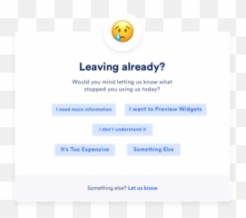 Exit Intent Surveys - Understanding Website Visitors Screenshot Emoji