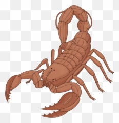 Steampunk Scorpio Clipart - Emperor Scorpion Emoji,Scorpion Emoji