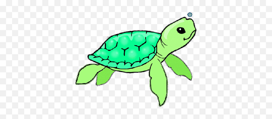 On Giphy Sea Turtle Gif - Sea Animal Gif Cartoon Emoji,Sea Turtle Emoji