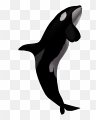Picture - Killer Whale Transparent Background Emoji,Orca Emoji