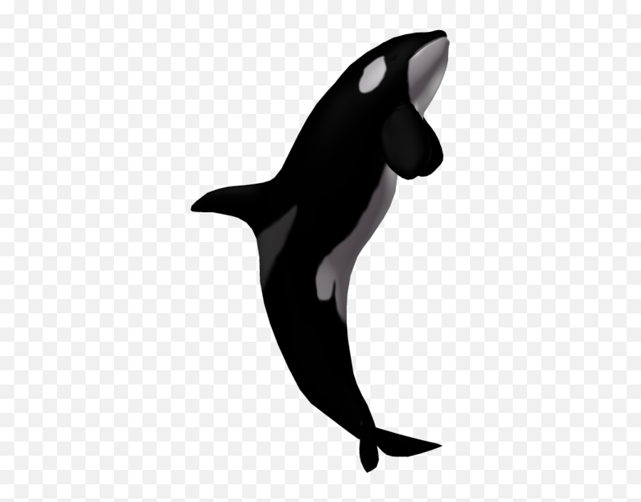 Picture - Killer Whale Transparent Background Emoji,Orca Emoji