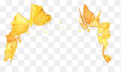 Download Free Snapchat Flower Crown Transparent Icon - Filter Emoji
