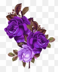 Download Purple Rose Png - Transparent Background Purple Roses Png Emoji,Rose Emoji Png