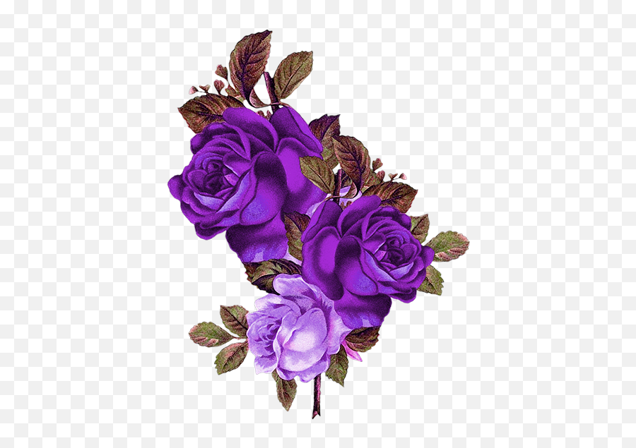 Download Purple Rose Png - Transparent Background Purple Roses Png Emoji,Rose Emoji Png