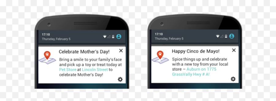 Case Study Petflow Uses Web Push Notifications To Boost - Day Push Notification Emoji,Cinco De Mayo Emoji