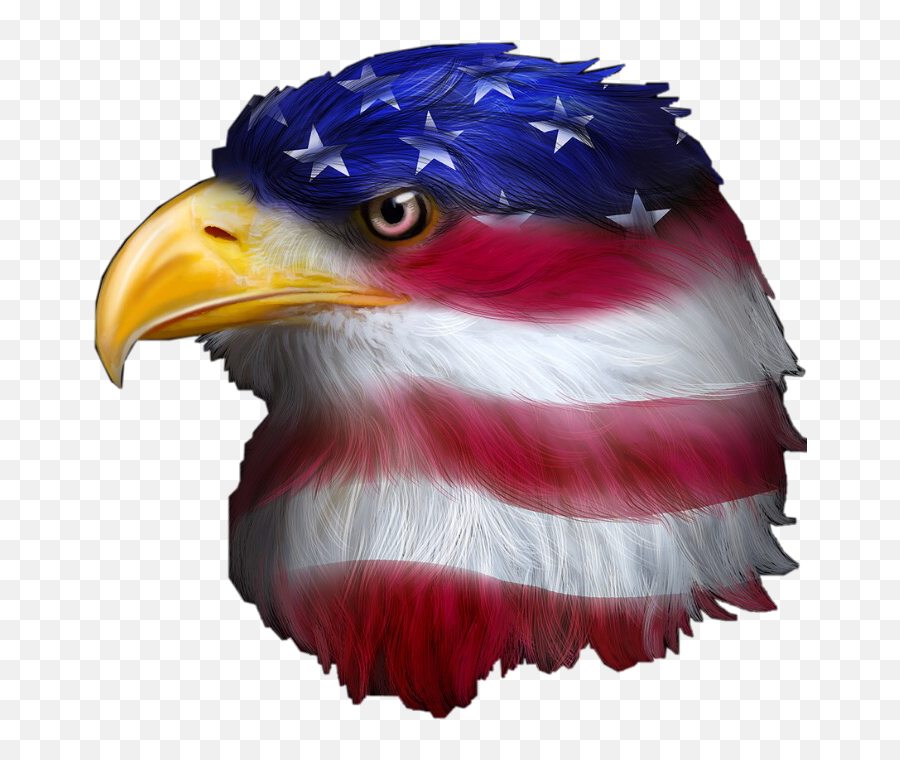 Largest Collection Of Free - Toedit Aquila Stickers On Picsart Bald Eagle Emoji,Eagle Emoji Iphone