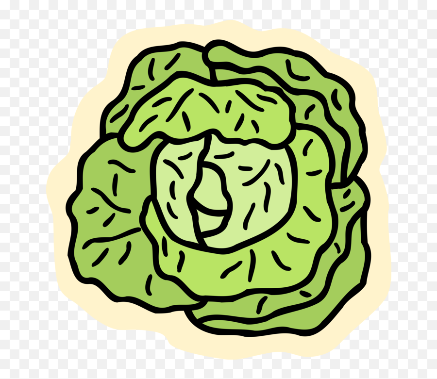 Cabbage Vector Leaf - Salat Clipart Png Download Full Salat Clipart Emoji,Pot Leaf Emoji Android