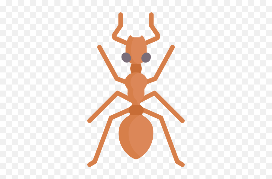 Letters A - G Baamboozle Parasitism Emoji,Ant Emoji