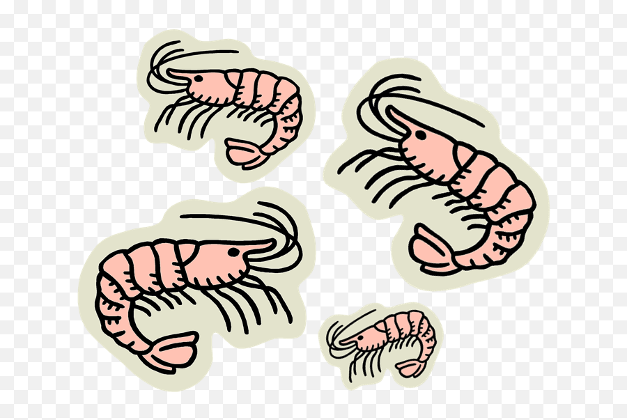 Sea Creatures - Baamboozle Soft Emoji,Stingray Emoji