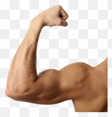 Muscle - Arm Transparent Background Emoji