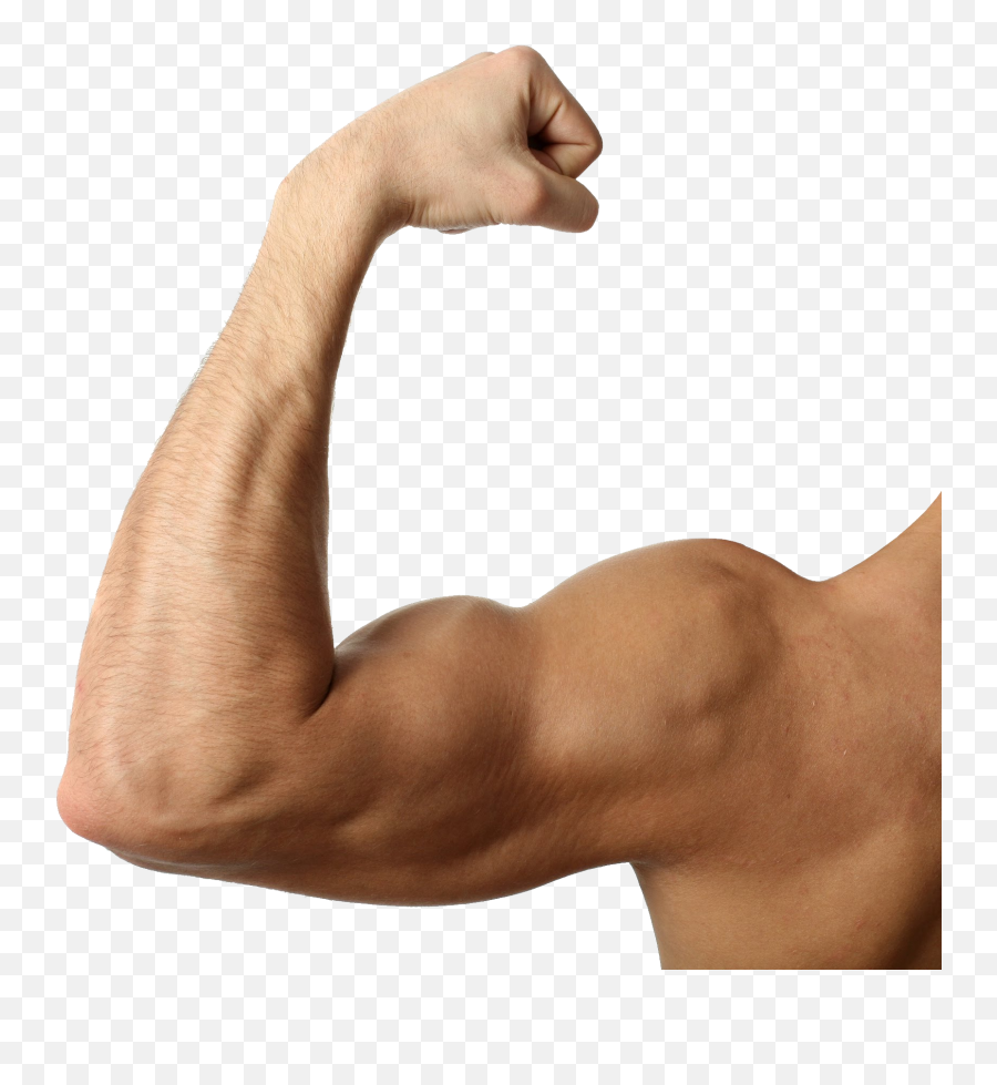 Muscle - Muscle Arm Transparent Background Emoji,Flexing Emoji