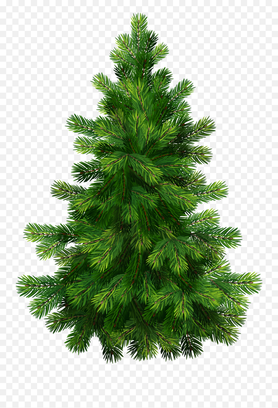 Pine Tree Clip Art 3 Image 2 - Christmas Tree Illustration Png Emoji,Pine Tree Emoji