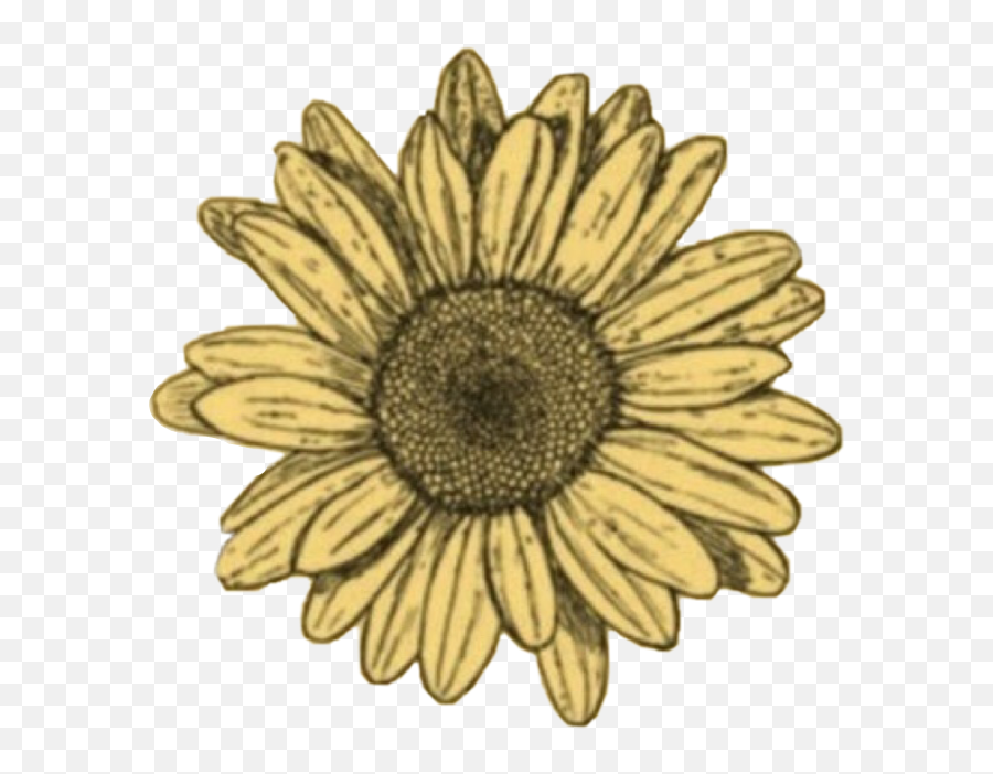 Freetoedit Doodle Sunflower Sun Sunshine Flowers Flower - Flower Drawing Emoji,Sunshine Emoji