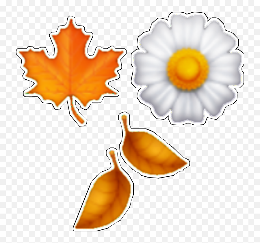 Sisterteaspill Overlay Complexedit Edit - Cut Flowers Emoji,Autumn Emojis