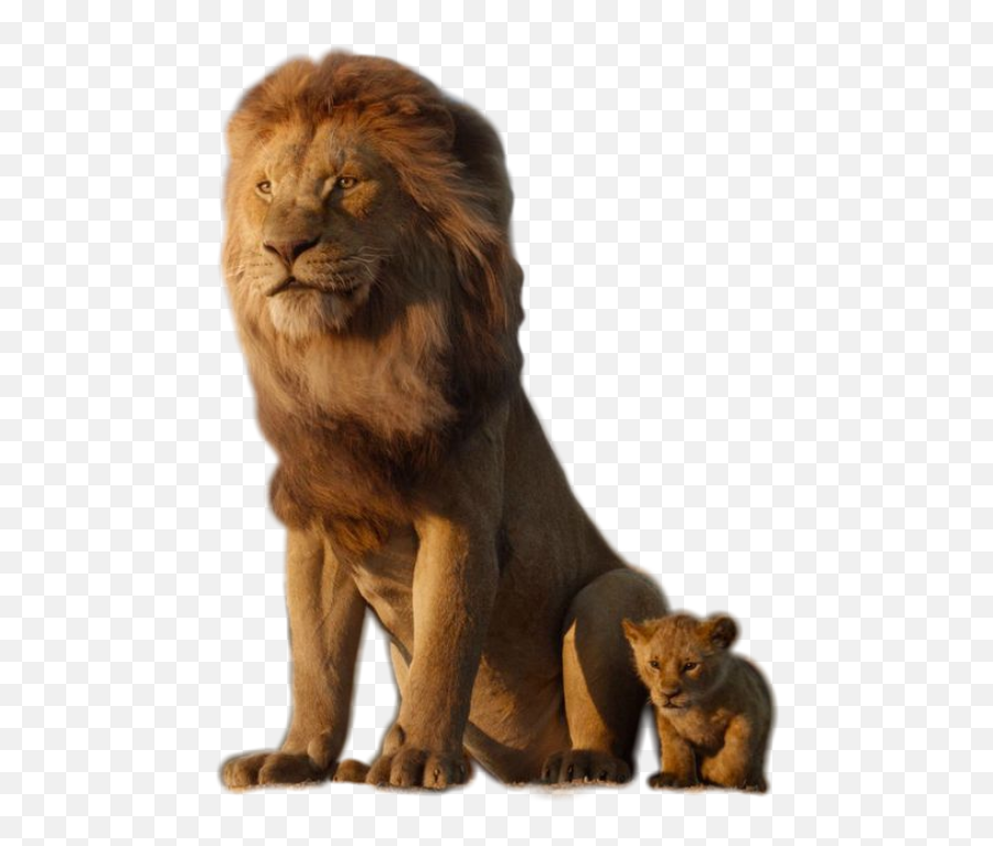 Lion King Baby Lionking Animal Overlay - Lion King 2019 Png Emoji,Lion King Emoji