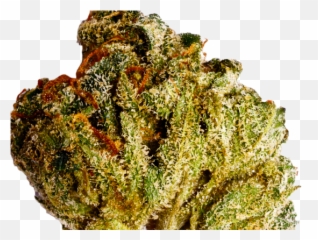 Diablo - Canna Assists Your Personal Cannabis Assistant Pine Emoji,Weed Plant Emoji