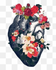 Popular And Trending Hearty Stickers On Picsart - Flower Anatomy Art Emoji,Heary Emoji