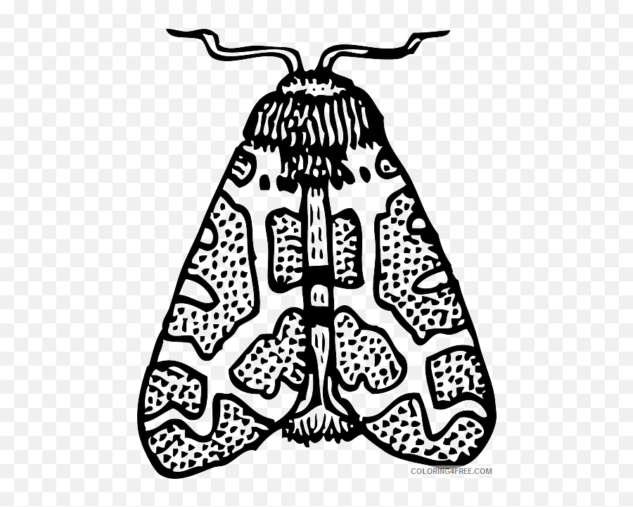 Butterfly Medium Coloring Pages Moth - Outline Of A Moth Emoji,Moth Emoji
