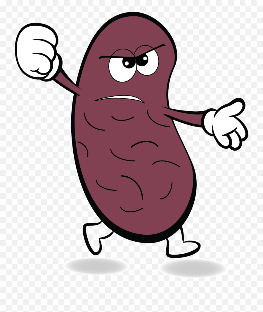 Losing My Mind Clipart - Cartoon Pinto Bean Png Emoji,Kidney Emoji