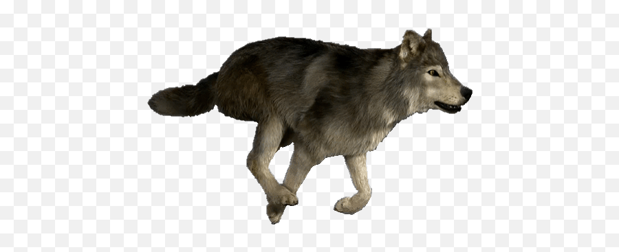 Top Teen Wolf Tv Program Stickers For - Animated Gif Wolf Running Emoji,Emoji Wolf