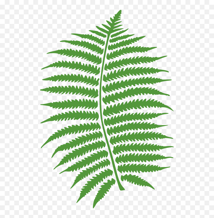 Fern Emoji Clip Art Image - Clipsafari Fern Clip Art,Emoji Svgs