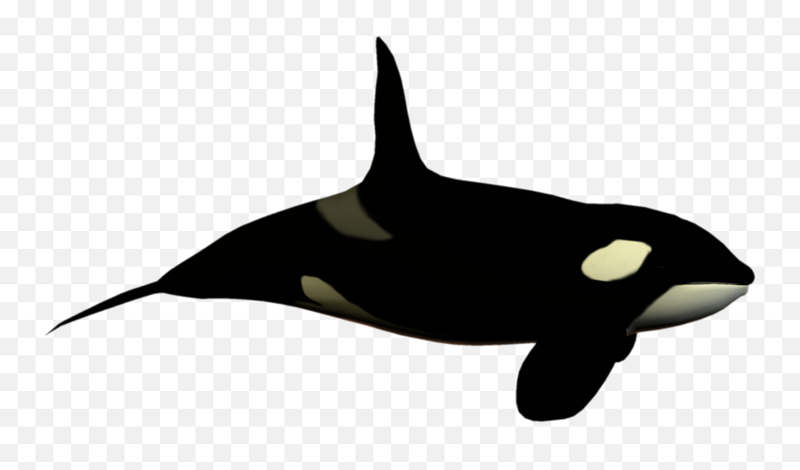 Download Orca Clipart Fish Tail - Orca Clipart No Background Emoji,Orca Emoji