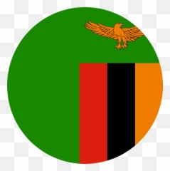 Zambia Flag Emoji - Zambia Flag Png,Ud83c Emoji