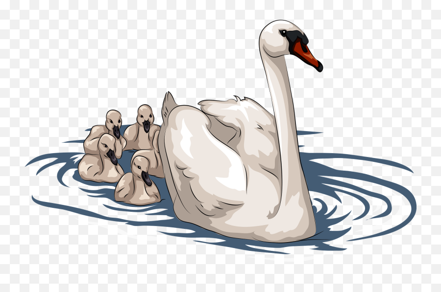 Swan With Cygnets Clipart - Swan And Cygnet Cartoon Emoji,Swan Emoji