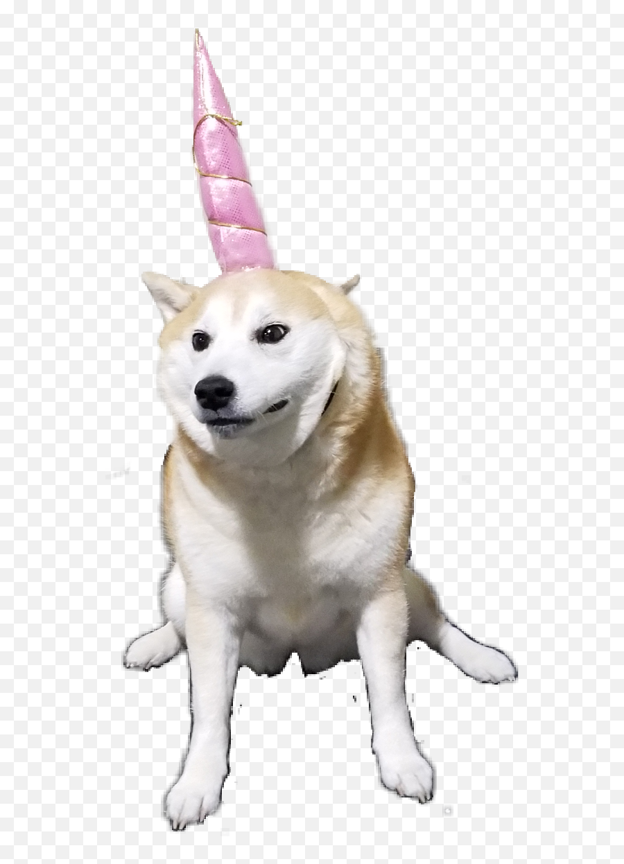 Awkward Unicorn Shiba Sticker By Suki The Shiba Inu - Northern Breed Group Emoji,Shiba Inu Emoji