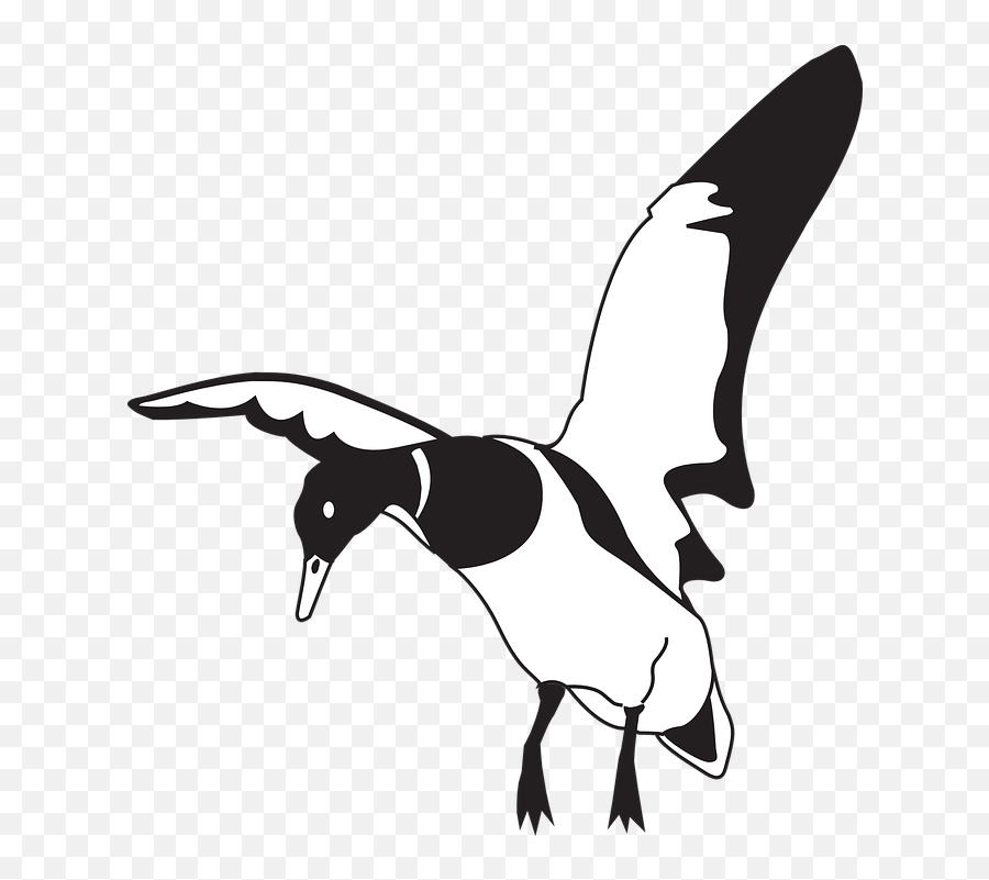 Free Black Ducks Duck Images - Clip Art Duck Landing Emoji,Crow Emoji