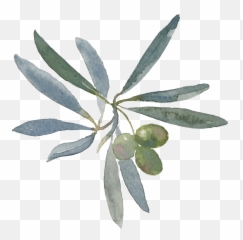 Blog - Russian Olive Emoji,Stank Face Emoticon