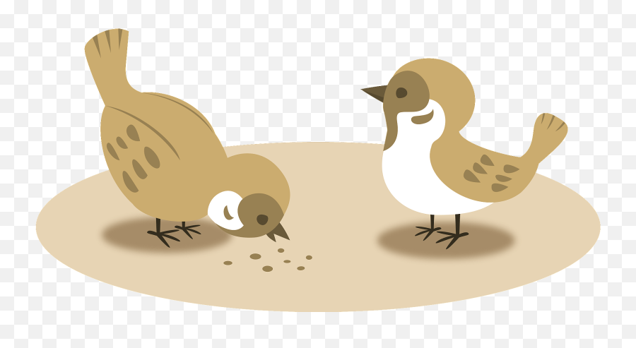 Two Eurasian Tree Sparrows Clipart Emoji,Quail Emoji