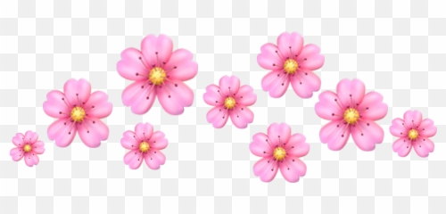 crown tumblr flower flowers Sticker by mihaelazm - Girly Emoji